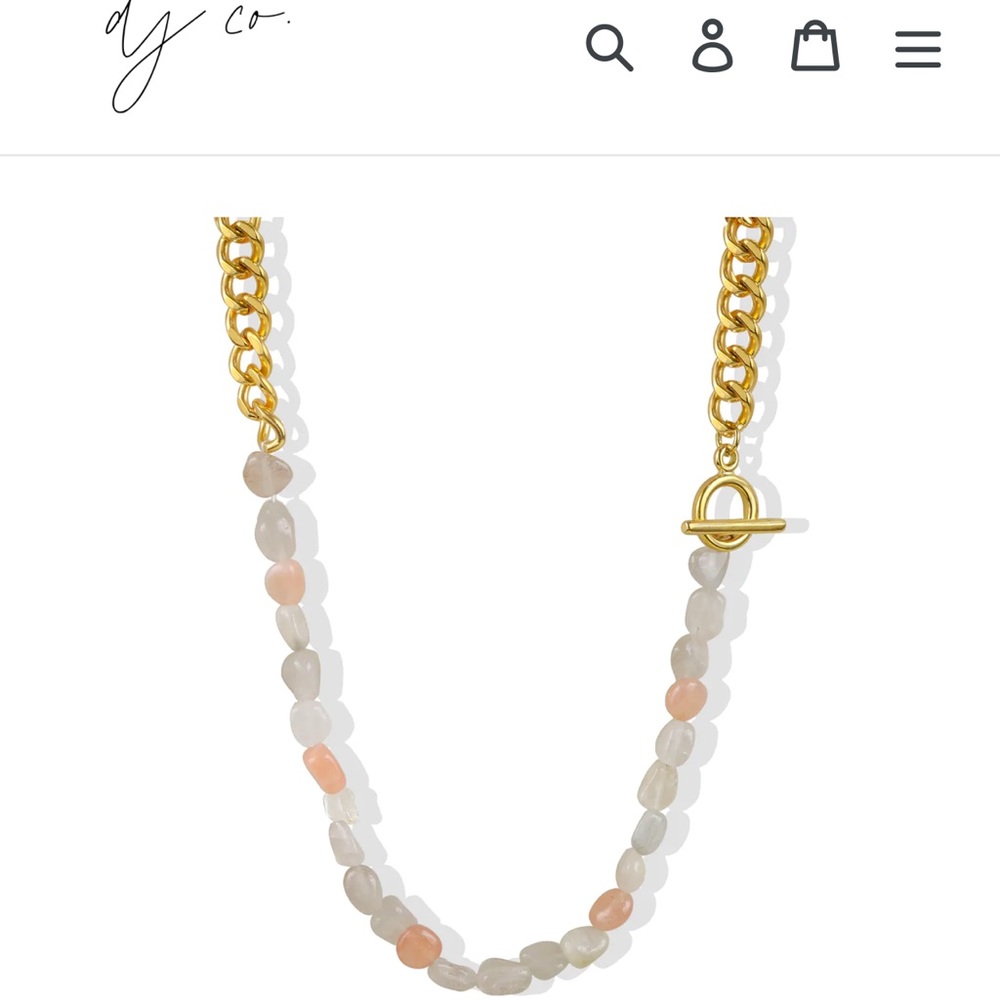 Danielle Jonas co necklace